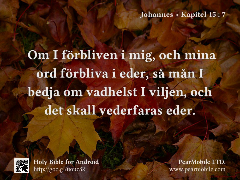 Johannes, Kapitel 15:7